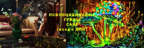PSILOCYBIN Алексин